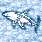 Sharky Tribal Sticker